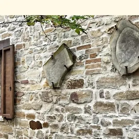 L'aurora 13 Posti Letto Montelparo